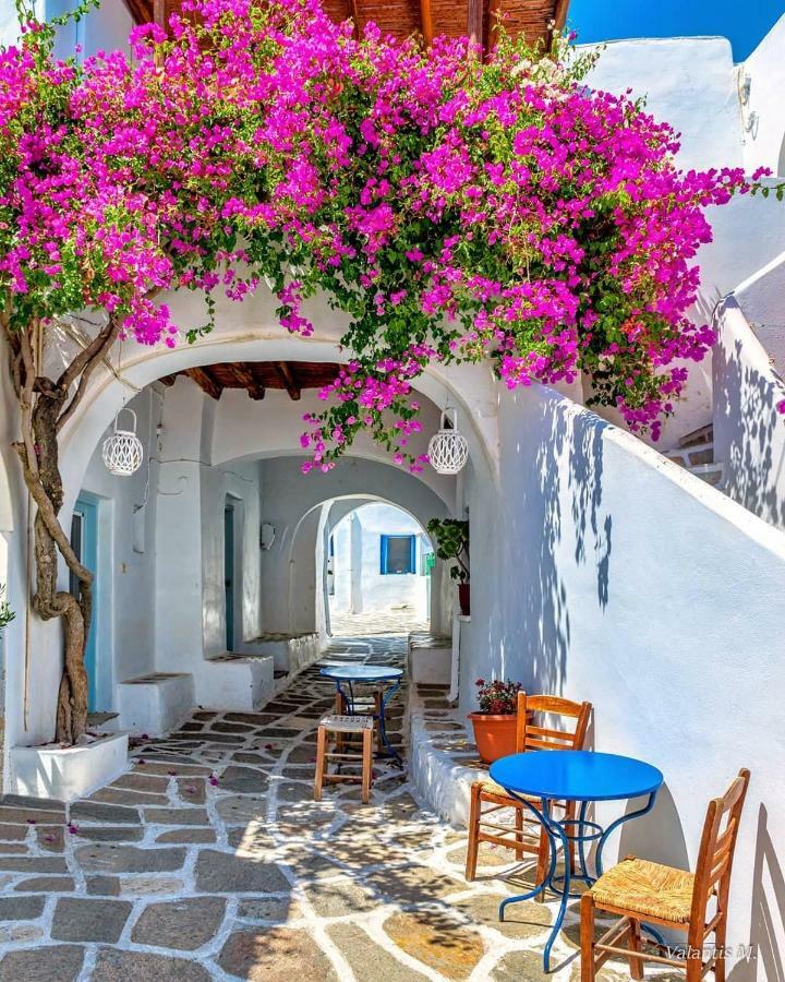 Villa Kavalli Paros Dhragoulas Eksteriør billede